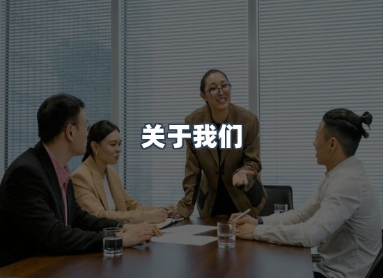 专业团队